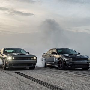 Meet your Posher, Jarrett